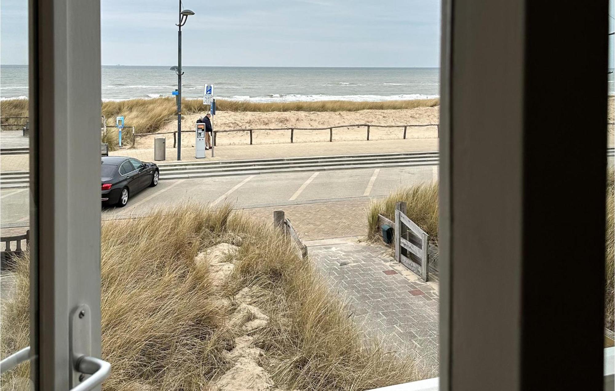 Zwaluwnest Villa Bergen aan Zee Eksteriør billede